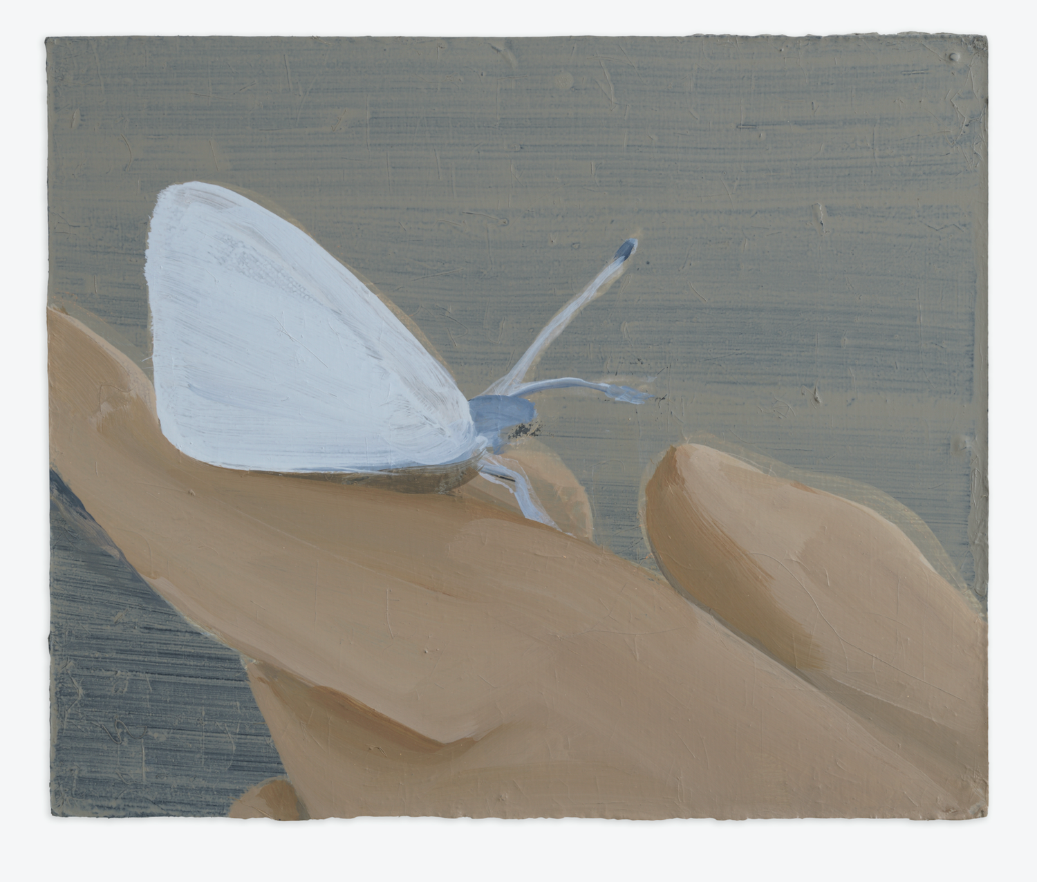 Butterfly on finger by Miho Sato